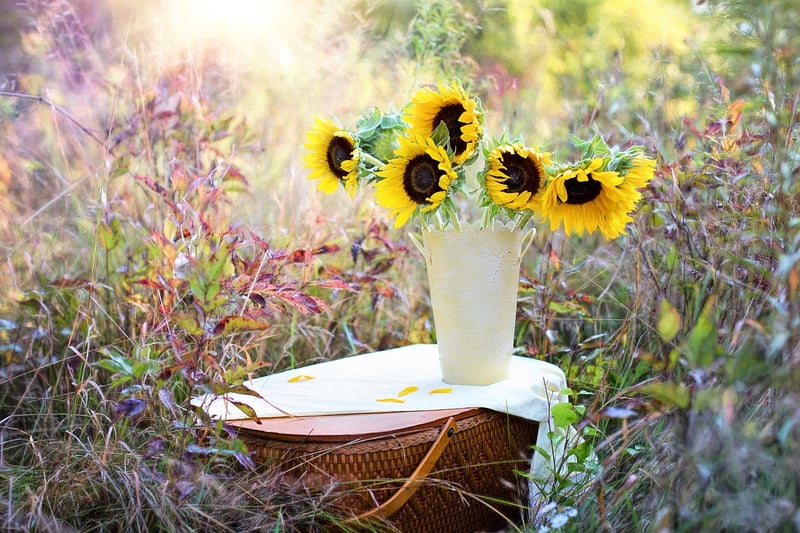 Innovative Plant Arrangements